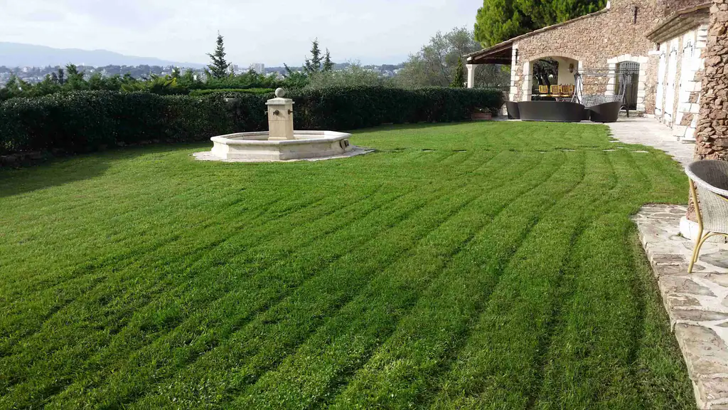 Pelouse entretenue et bordures soignées - Nazarian Espaces Verts