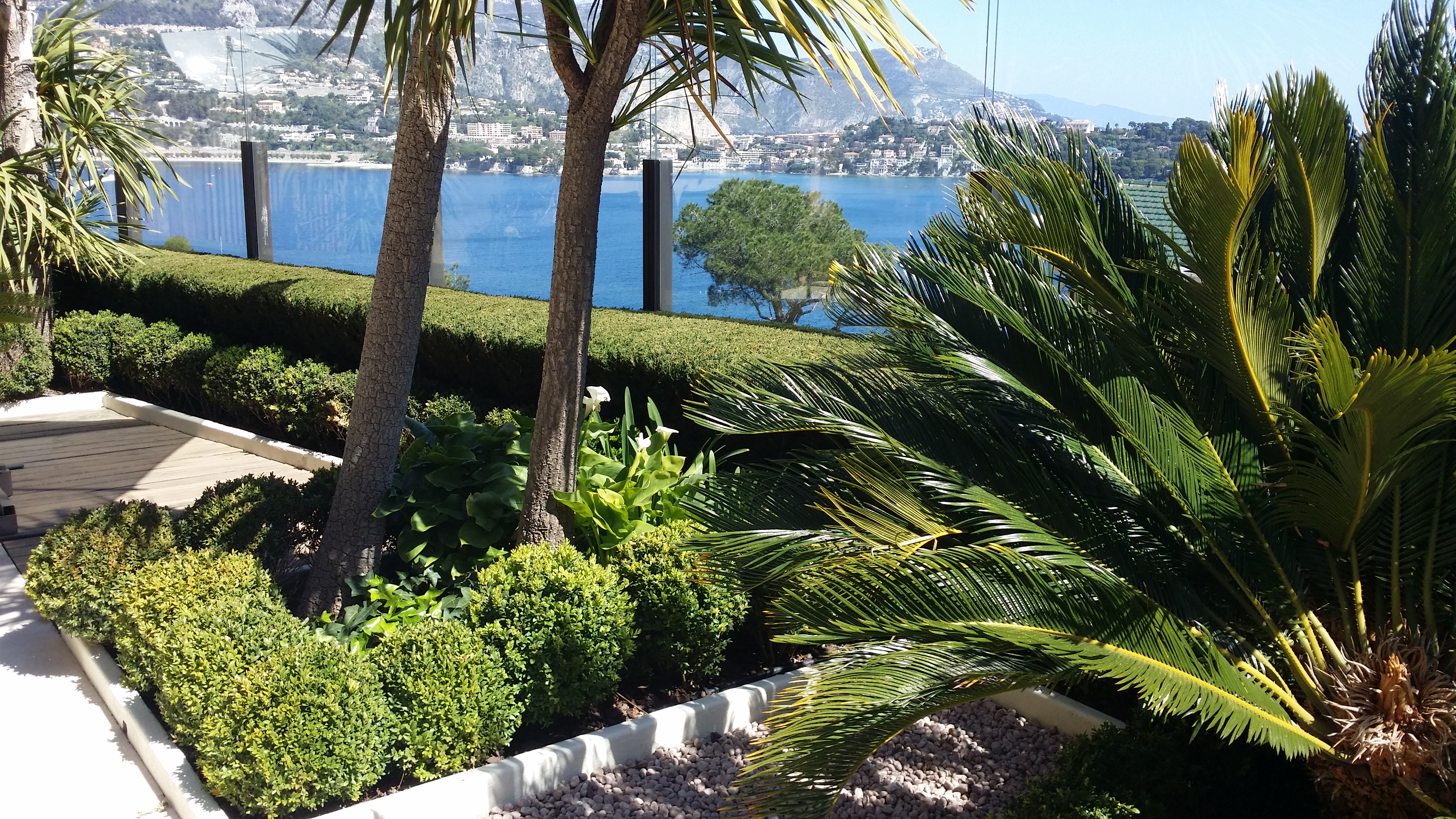 Remise en état et nettoyage complet d’un jardin